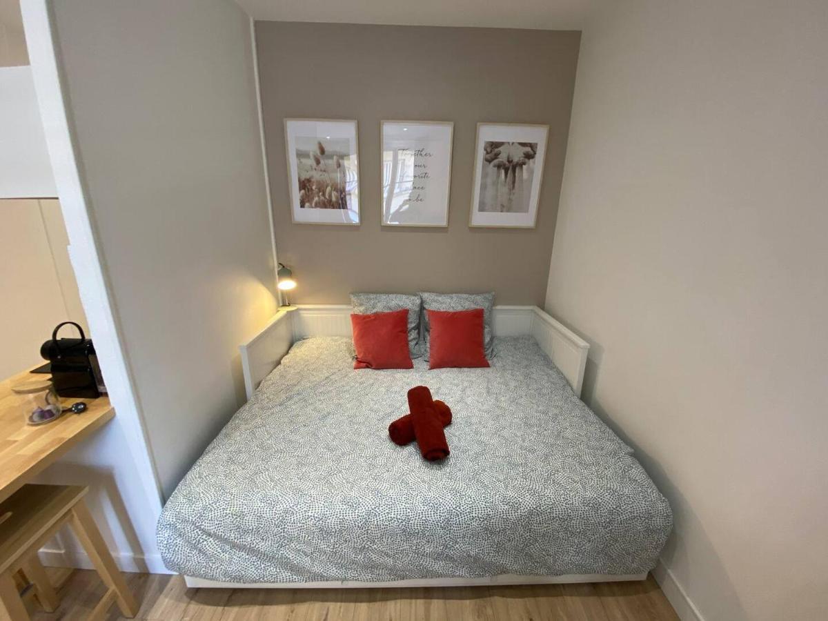 Apartment Place De Metz, Hyper-centre Grenoble, 25 M2 *