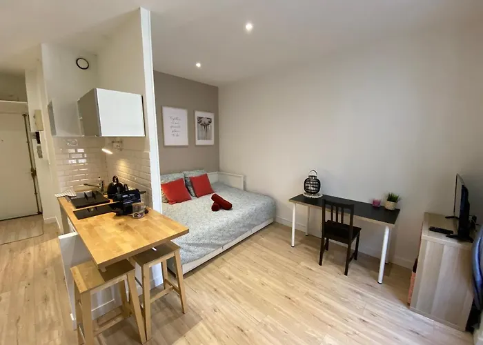Place De Metz, Hyper-Centre Grenoble, Studio 25 M2